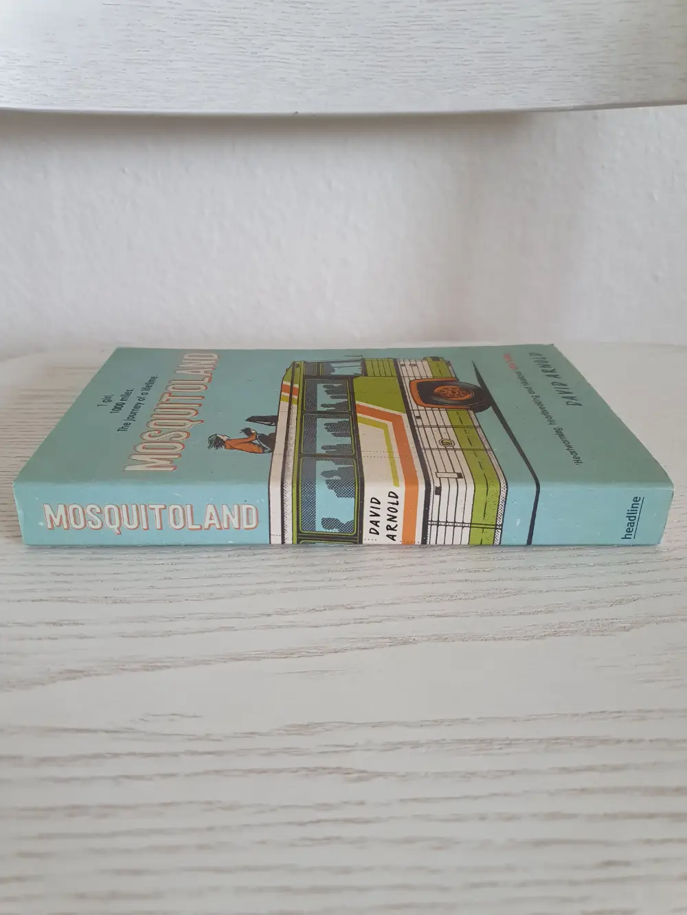 Mosquitoland Ungdomsbog