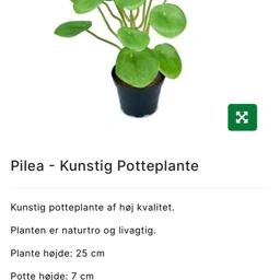 Ukendt Kunstig pilea potteplante