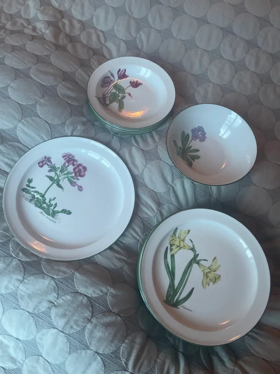 Seltmann Weiden Diverse porcelæn med blomster