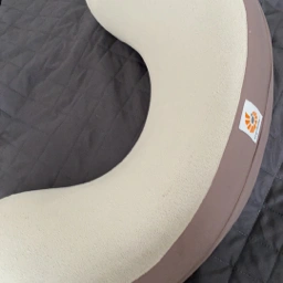 Ergobaby Nursing pillow