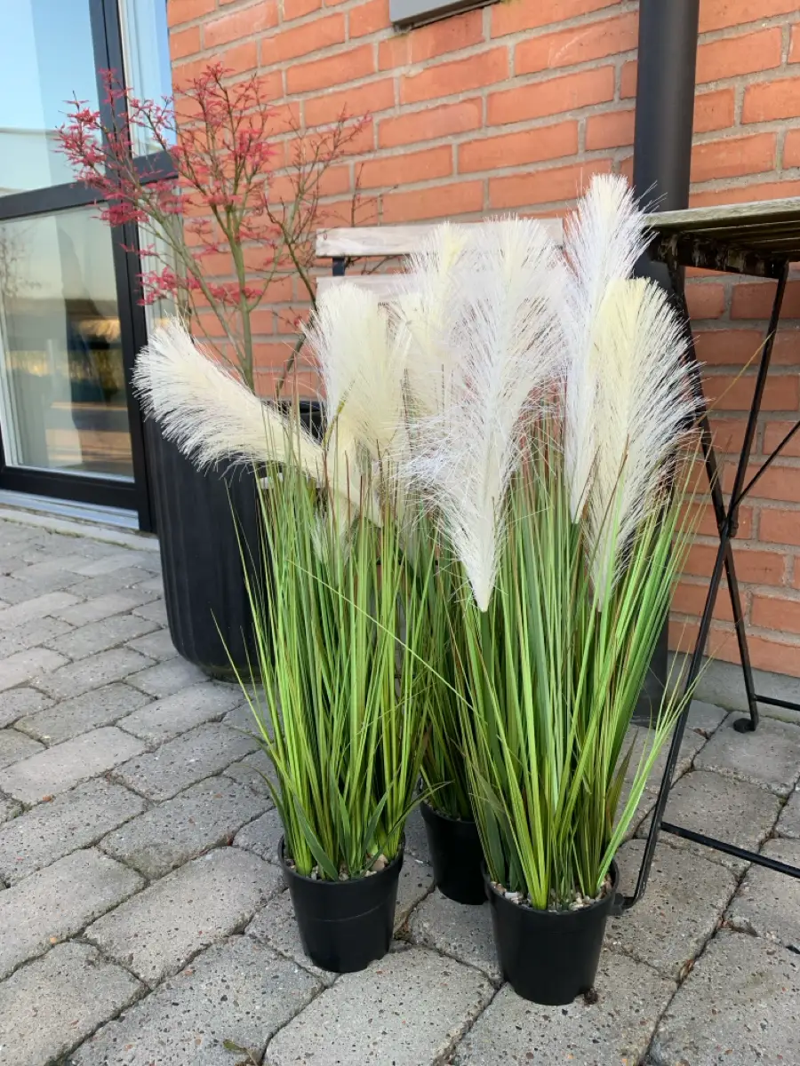 Ukendt Kundstige planter