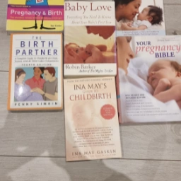 pregnancy books Ina May's guide to child birth