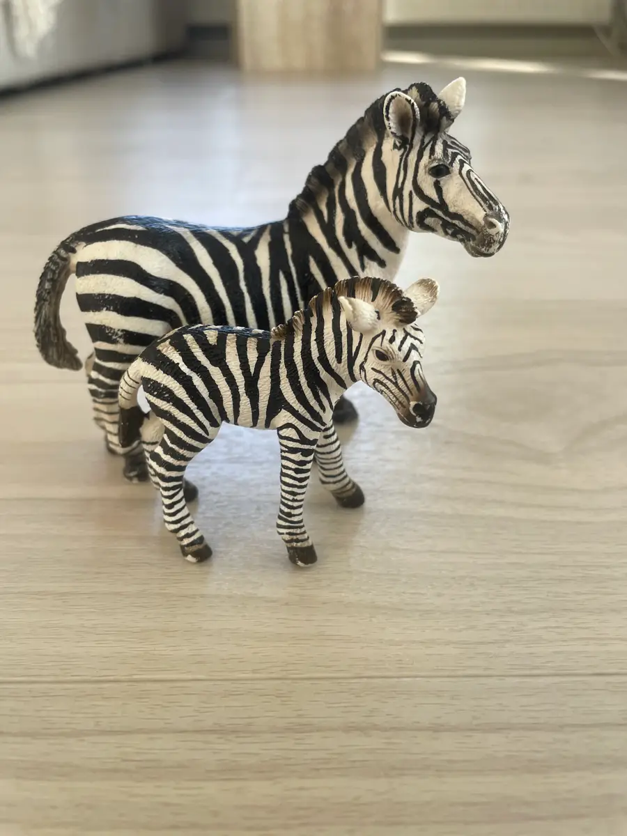 Schleich Zebra og zebra føl