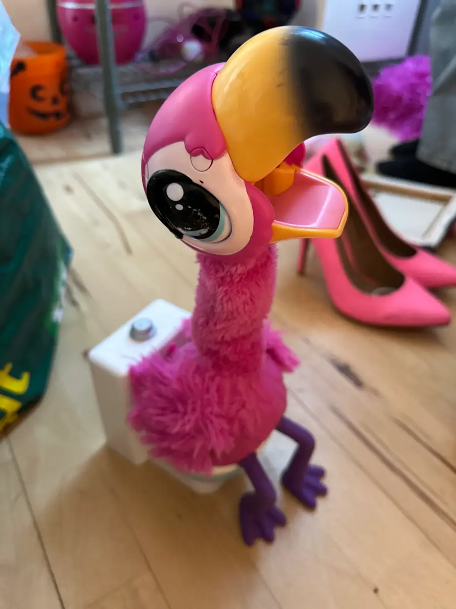 Ukendt Gotta go flamingo