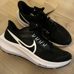 Nike Sko - Pegasus 39