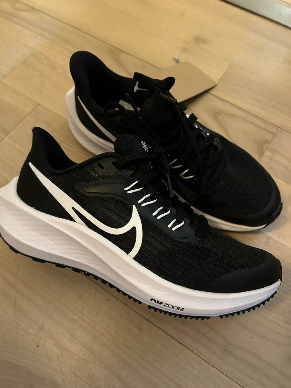 Nike Sko - Pegasus 39