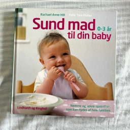 Sund mad til din baby Bog