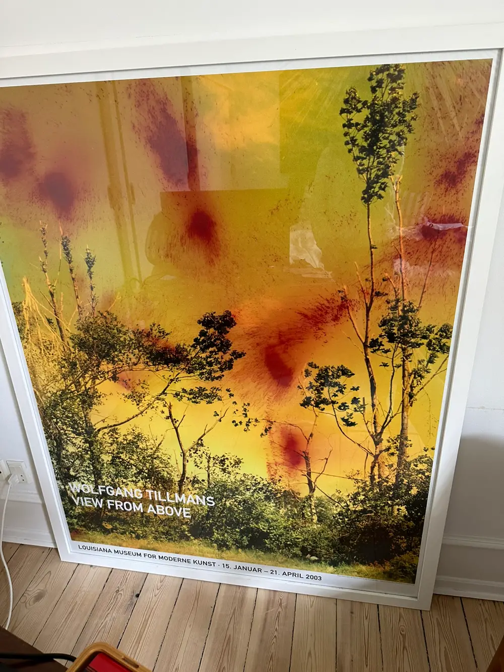 Louisiana museum Glass framed poster