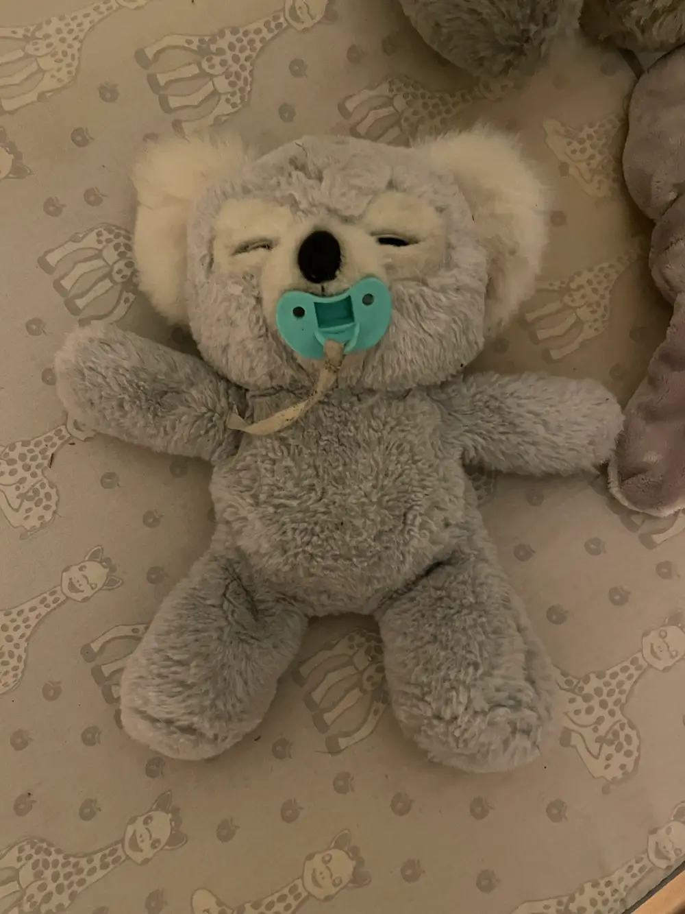 Little live pets Cozy Dozy koala interaktiv