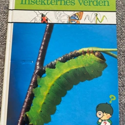 Insekternes verden Bog