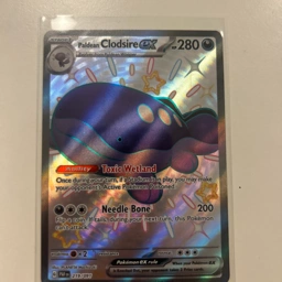 Pokémon Clodsire ex