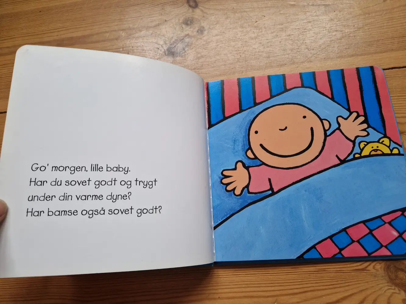 Hvad laver du baby? Bog