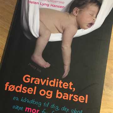 Graviditet fødsel og barsel Bog