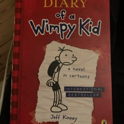 Wimpy kid Bog