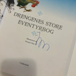 Drengenes store eventyr bog Bog