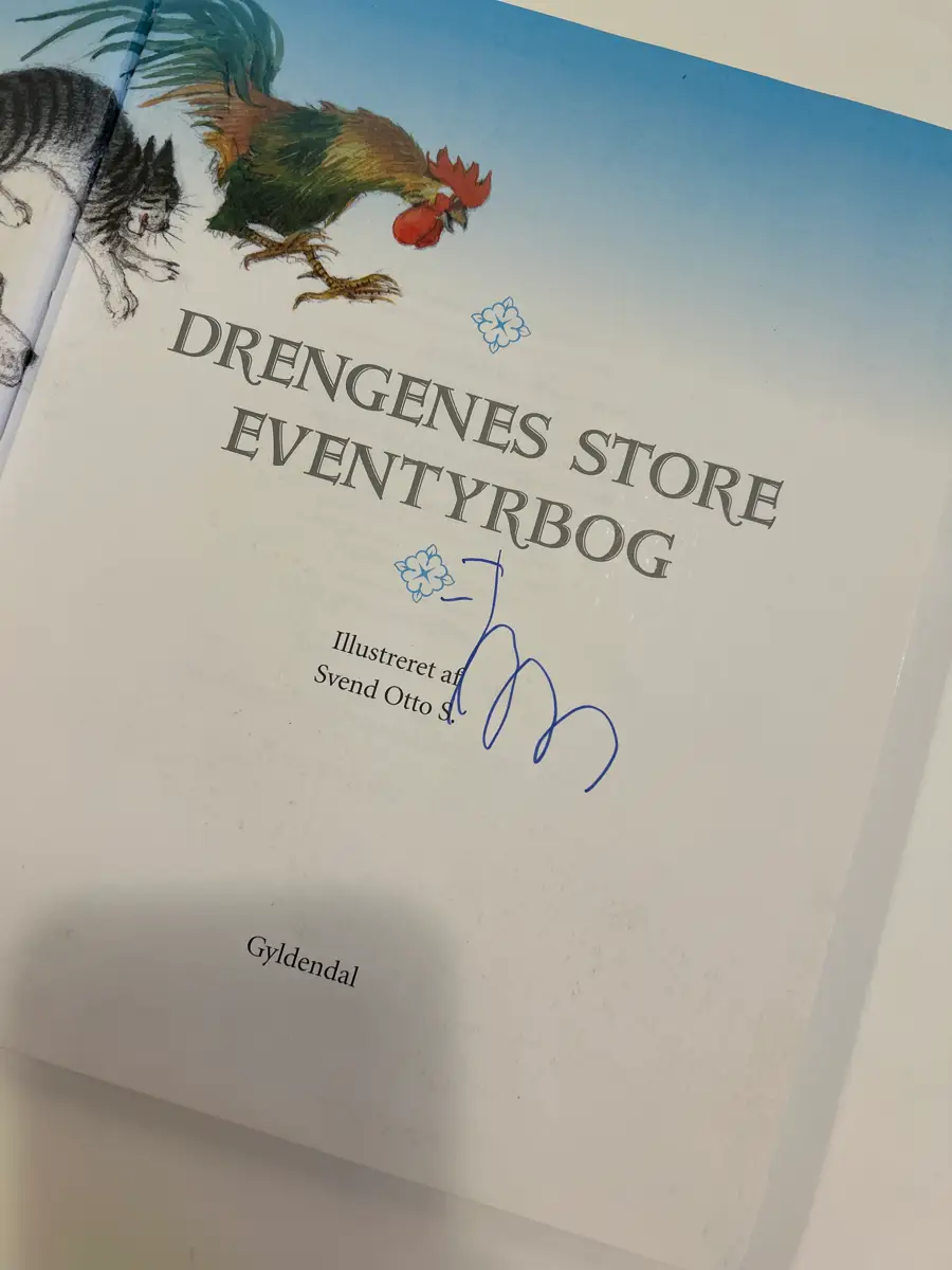 Drengenes store eventyr bog Bog