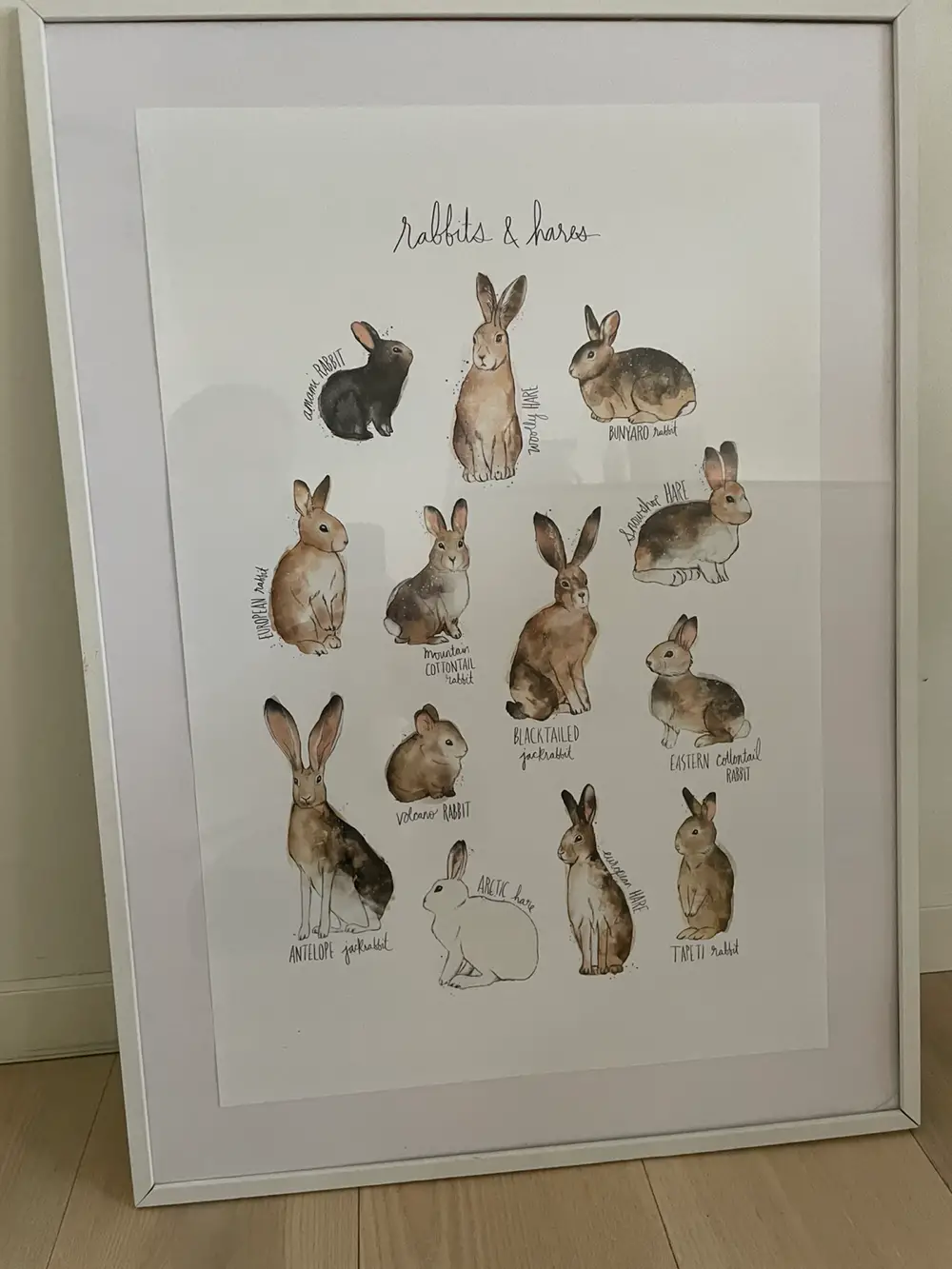 Ukendt Wild Rabbits plakat og ramme