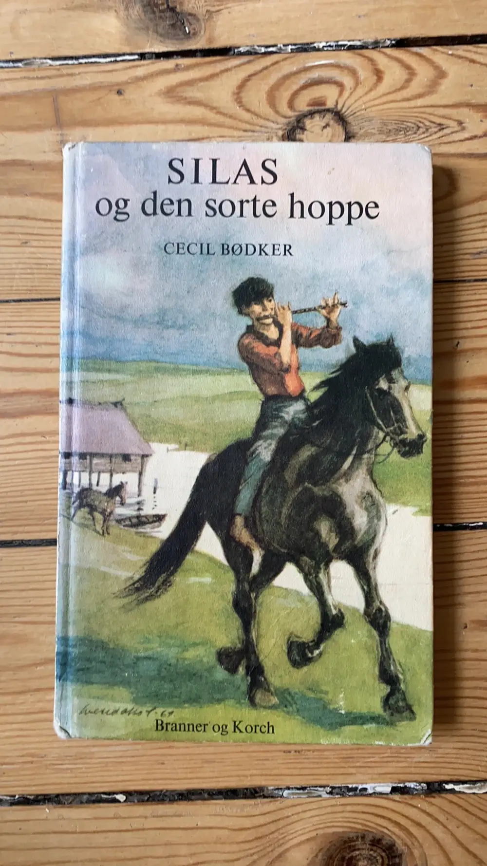 Silas og den sorte hoppe Bog