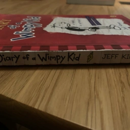 Wimpy kid Bog