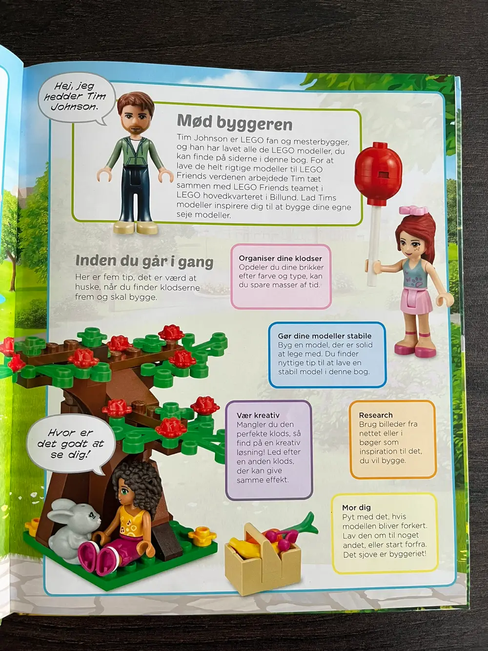 Lego Friends Byg Dit eget eventyr bog Bog med historie og byggeplane