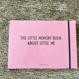 the little memory book about little me bog