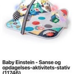 Baby Einstein Aktivitetstæppe