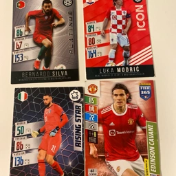 Panini fodboldkort Fodbold kort