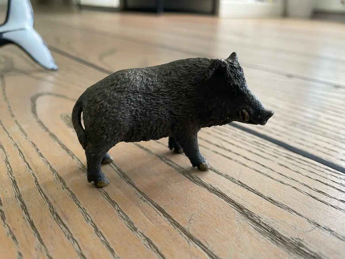 Schleich Vildsvin