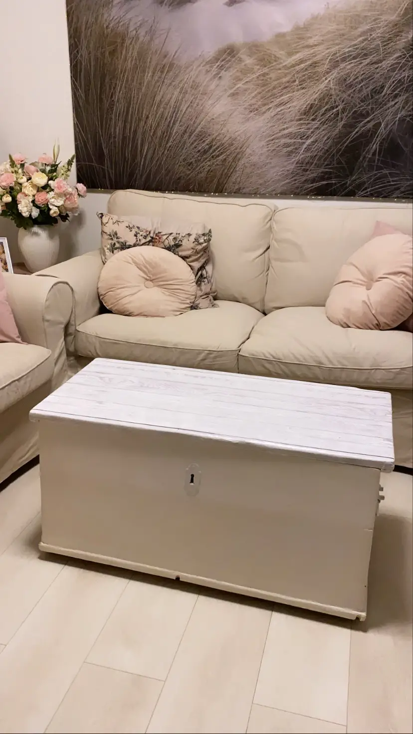 Ukendt Kiste /sofabord