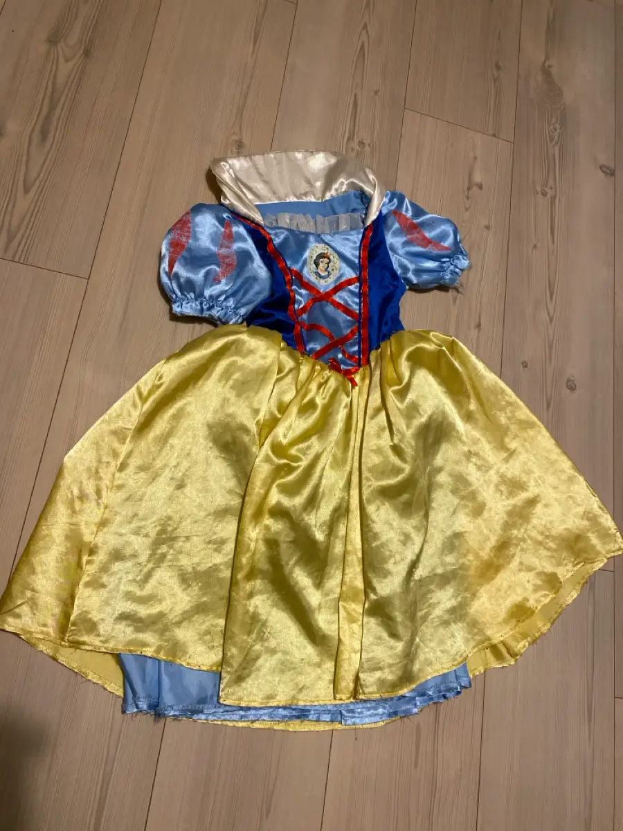 Disney Snehvide / Askepot kostume