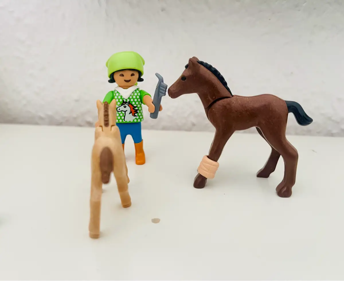 Playmobil Barn og pony