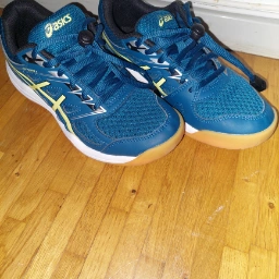 ASICS Indendørs sko