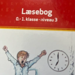 Søren og Mette i skole Bog