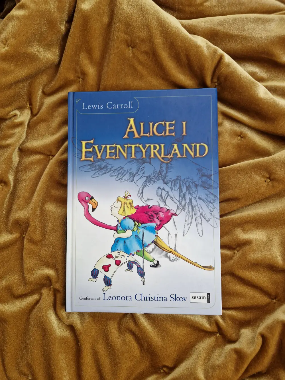 Alice i evnetyrland Bog