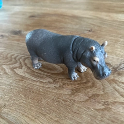 Schleich Flodhest