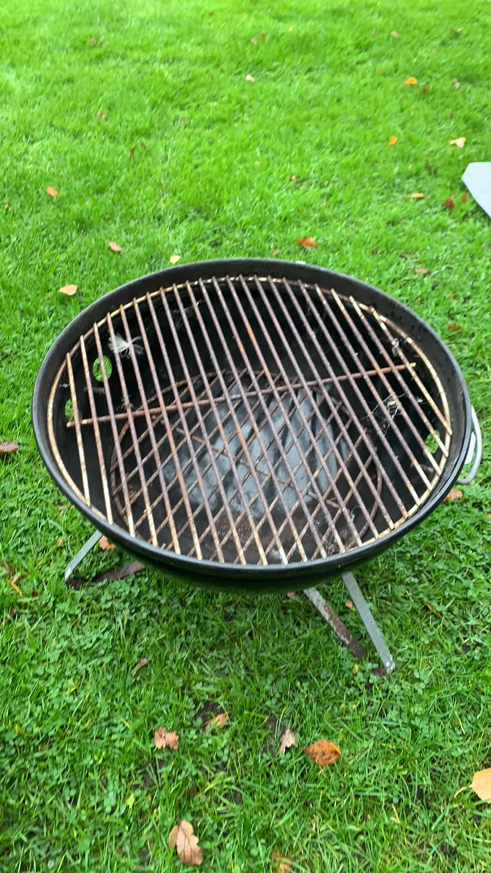 Weber Smokey Joe