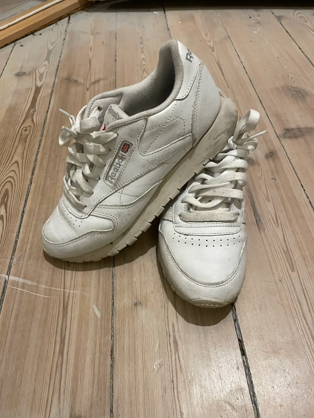 Reebok Sneakers