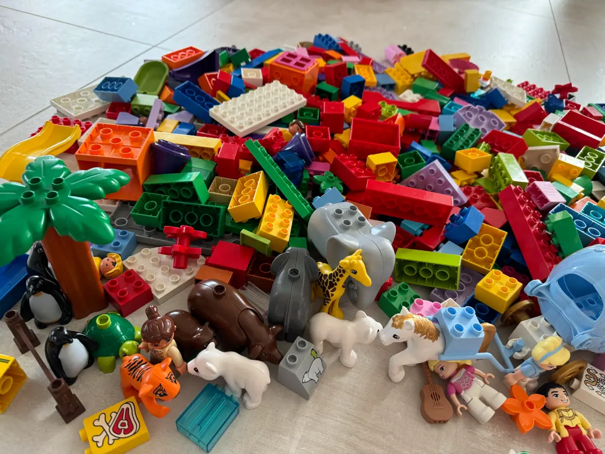 DUPLO Blandet Lego Askepot zoo mm