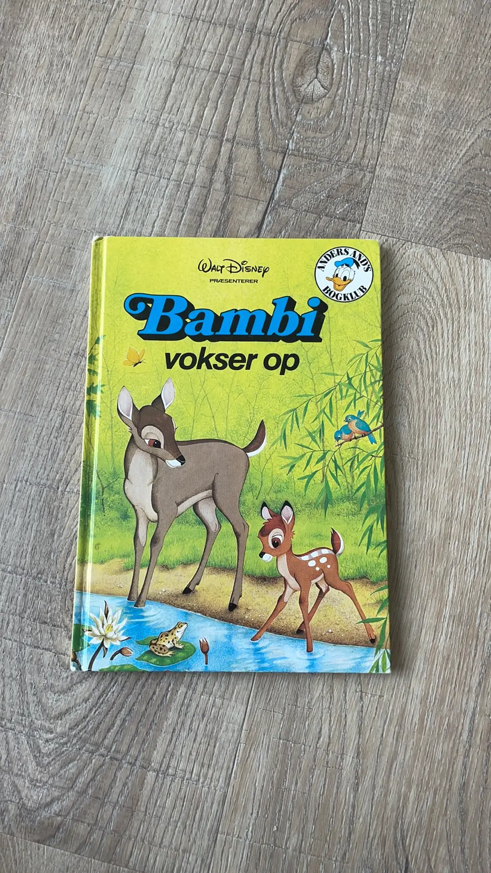 Bambi vokser op Bog