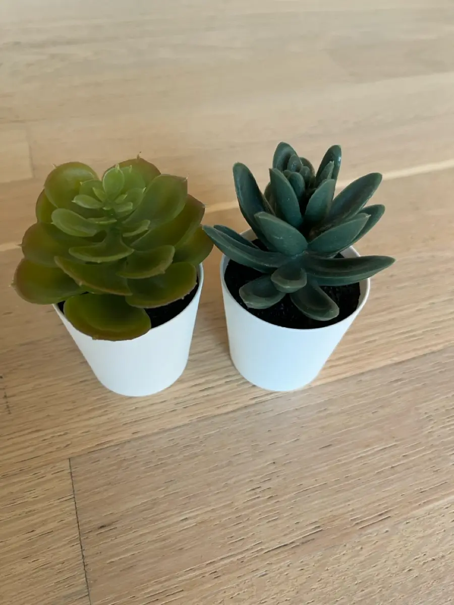 IKEA Mini planter