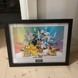 Pokémon Billede