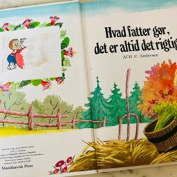 Hvad fatter gør Bog bøger