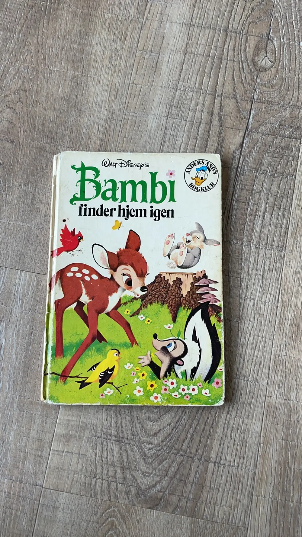 Bambi finder hjem igen Bog