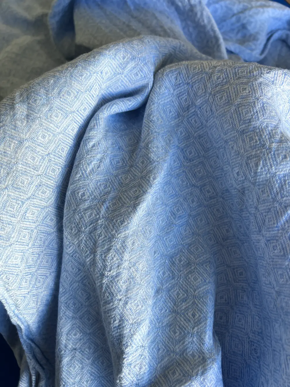 Didymos Vikle