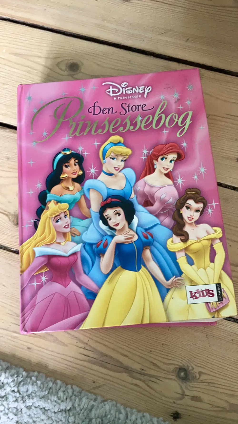 Ukendt Den Store Prinsessebog