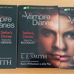 Vampire diaries L J Smith vampire Diaries