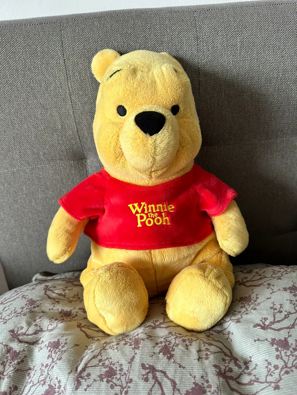 Disney Peter Plys bamse