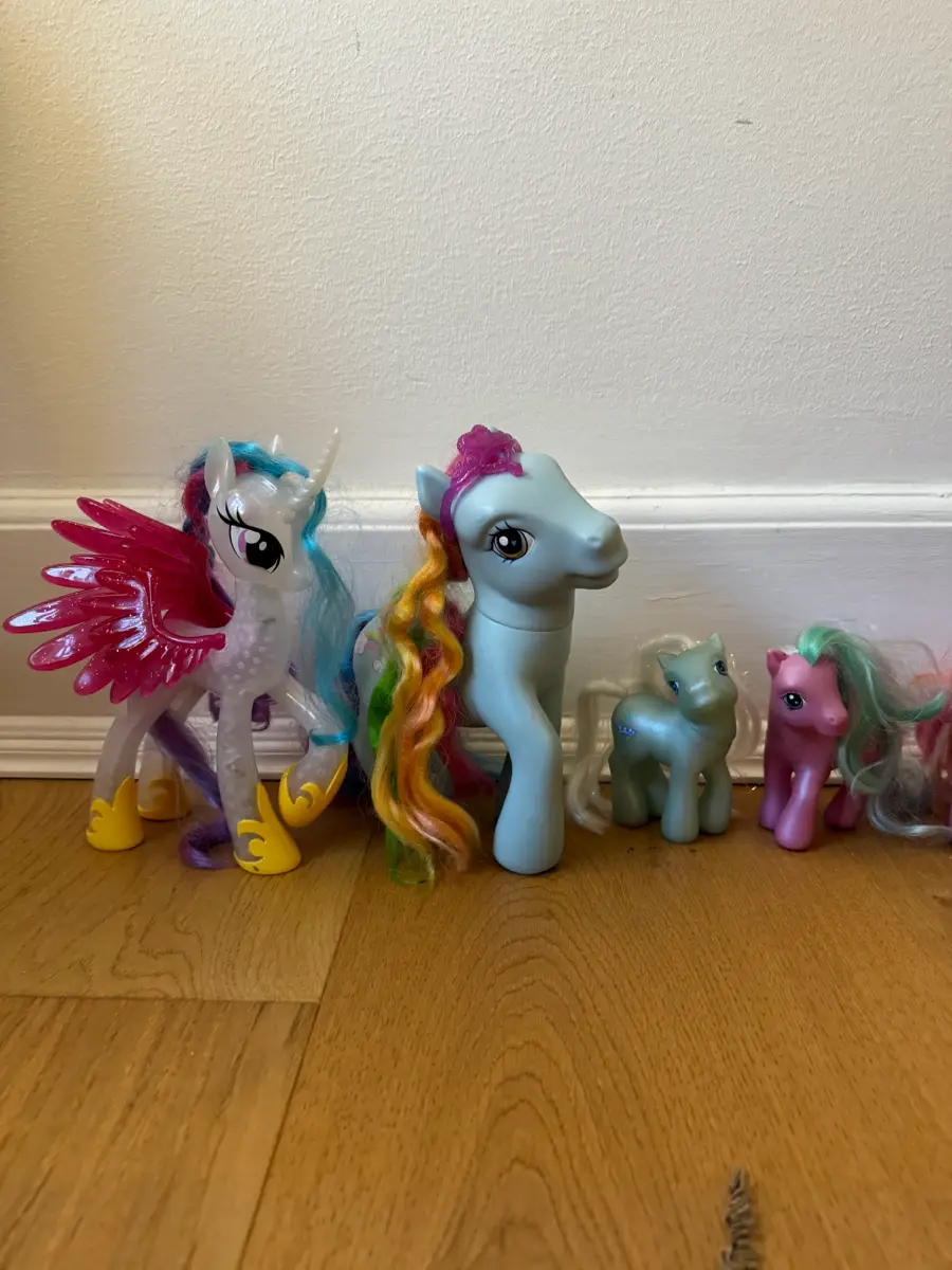 My Little Pony Ponyer