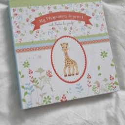 Sophie la Giraffe Pregnancy Journal