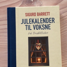 Julekalender til voksne Sigurd barrett